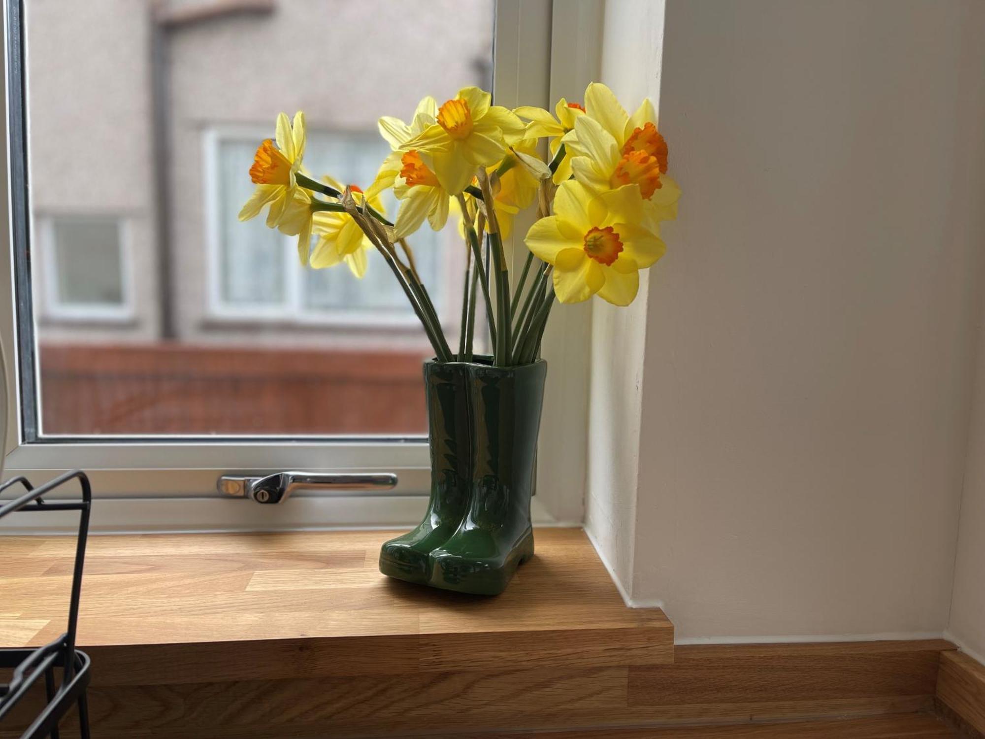 45 Mold Road Apartment Wrexham Ngoại thất bức ảnh